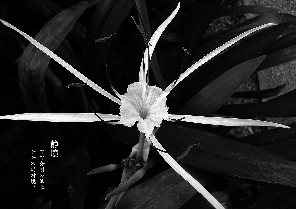 靜（圖ZMjU2Nzc0Njg=） - 風光攝影 - 站酷設計師果兒hh原創(chuàng)素材 - 站酷ZCOOL