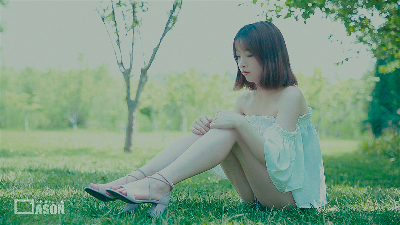 梦的草长莺飞——少女与夏花