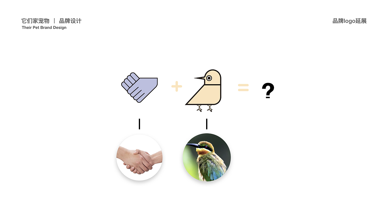 它们家宠物旗舰店品牌设计