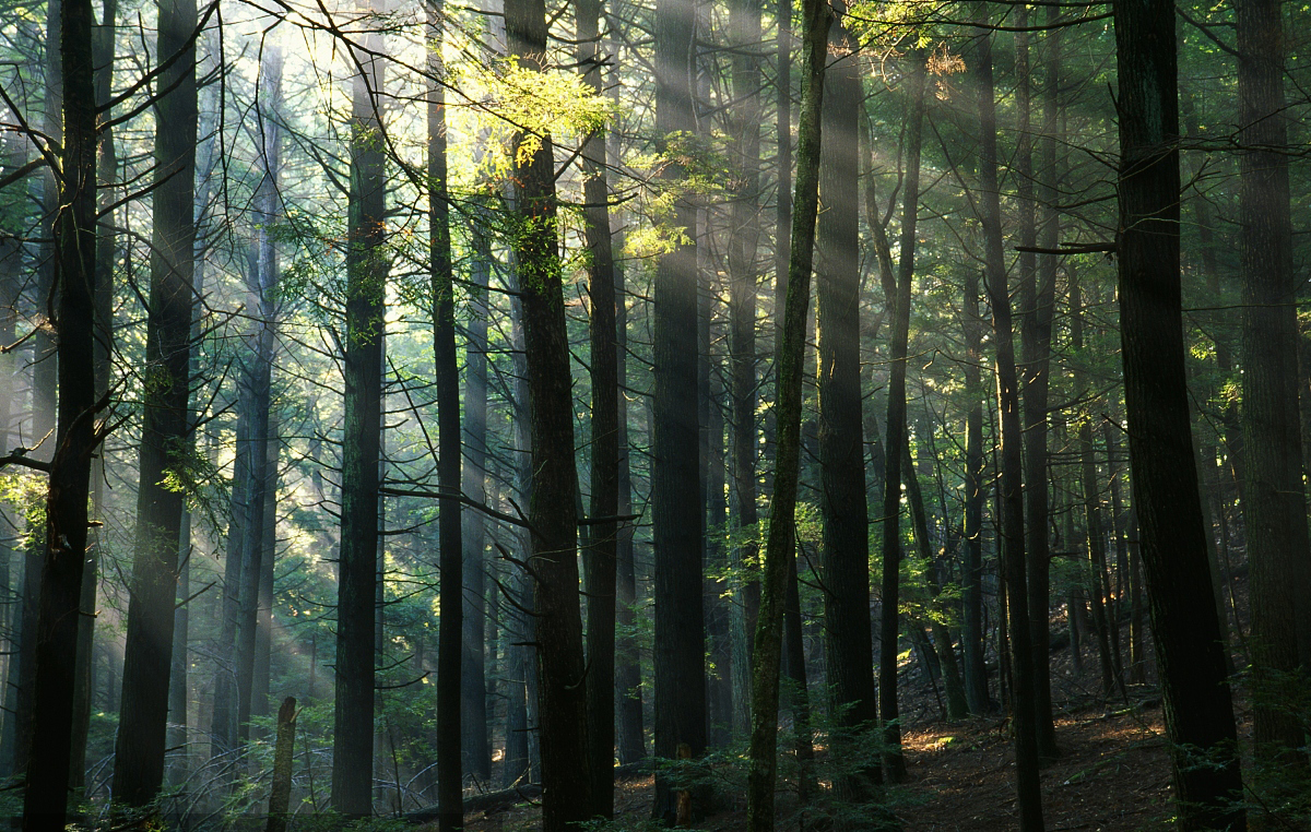 小瞧客官的個(gè)人主頁(yè)（封面預(yù)覽） - 主頁(yè)封面設(shè)置 - 站酷設(shè)計(jì)師小瞧客官原創(chuàng)素材 - 站酷ZCOOL