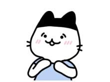 猫顺顺又怂又刚