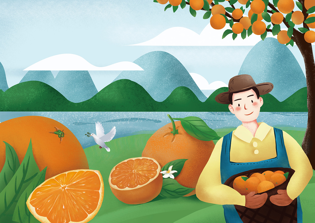 收获甜蜜橙子|插画|商业插画|nakagawayuki - 原创作品 - 站酷 (zcool