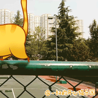 偶遇开心猫-1 （ 真实生活中的开心猫 ）（图ZNDg2NzUxMjA=） - 网络表情 - 站酷设计师李纬一原创素材 - 站酷ZCOOL