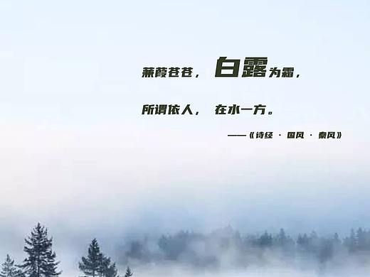 二十四节气海报之白露