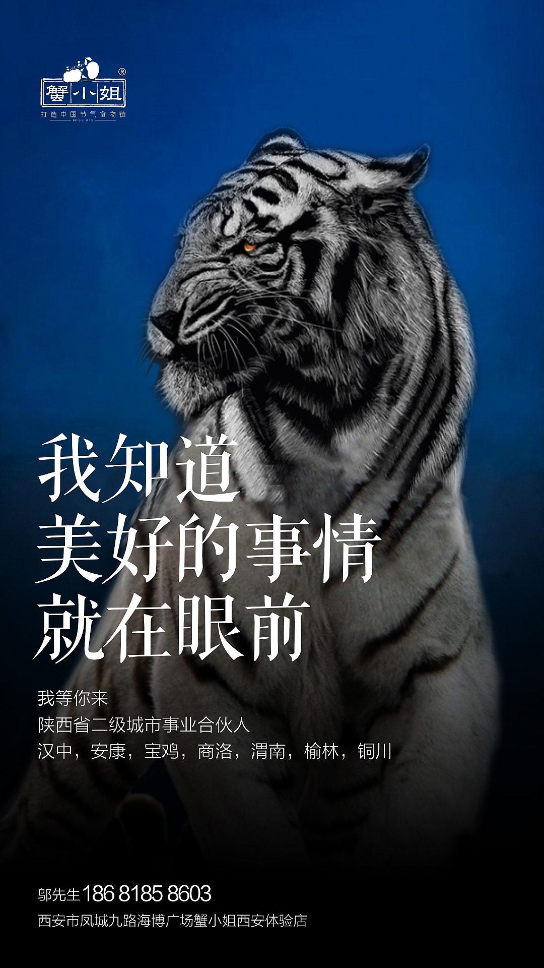 生鲜海报（图ZMTA5Njk2ODIw） - 品牌 - 站酷设计师ZMOLE原创素材 - 站酷ZCOOL