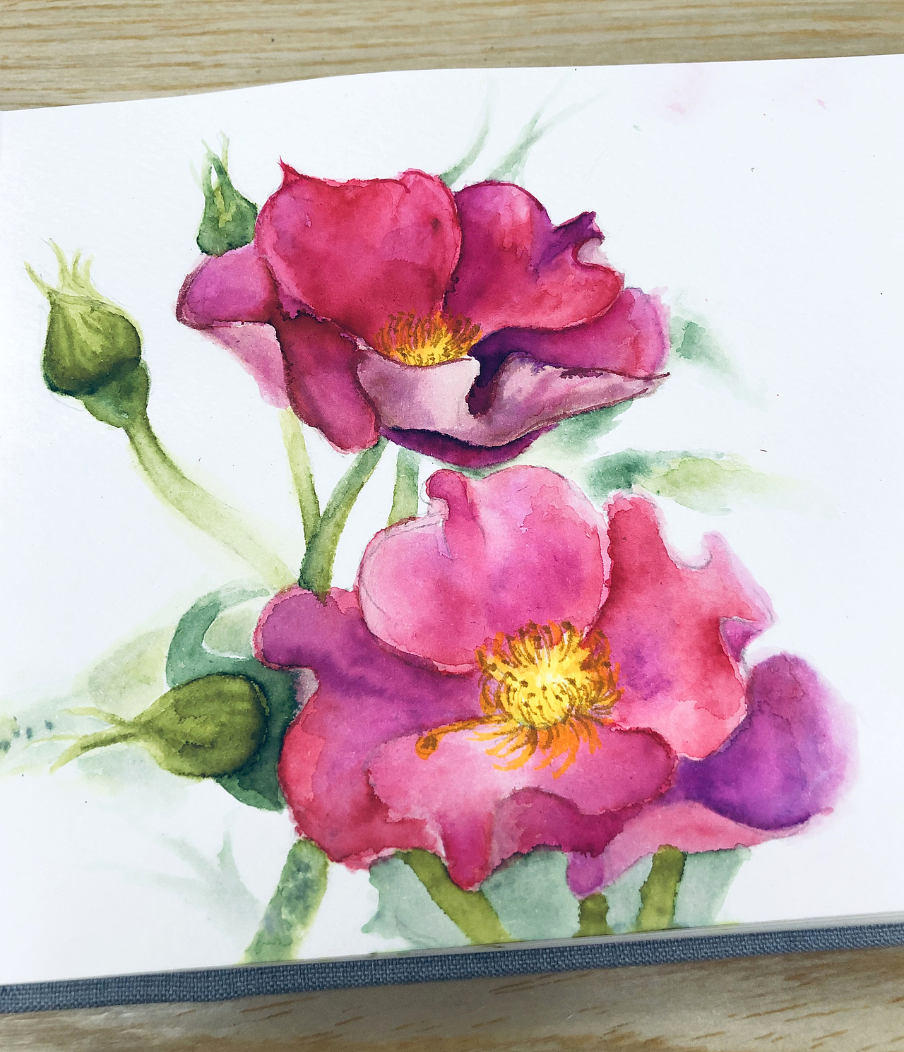 新年小红花（图ZMTQyMDg1MDQ0） - 创作习作 - 站酷设计师言不甩原创素材 - 站酷ZCOOL