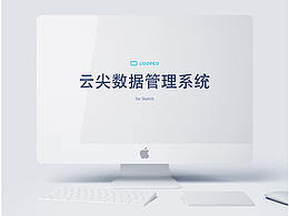 云尖數據后臺管理系統(tǒng)