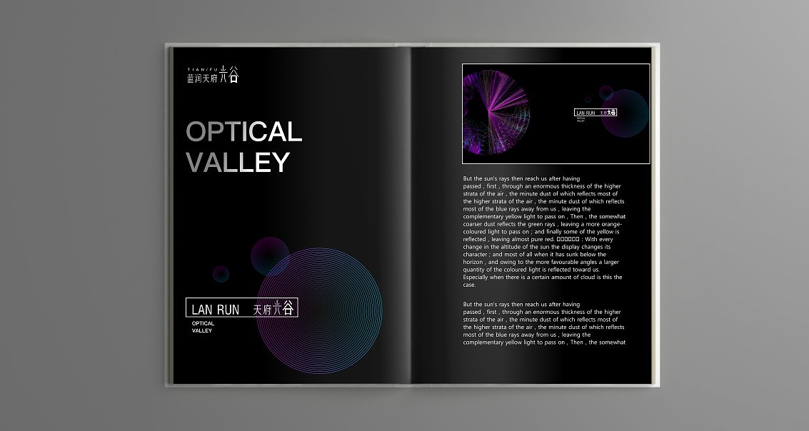 500强地产VI提案(三)