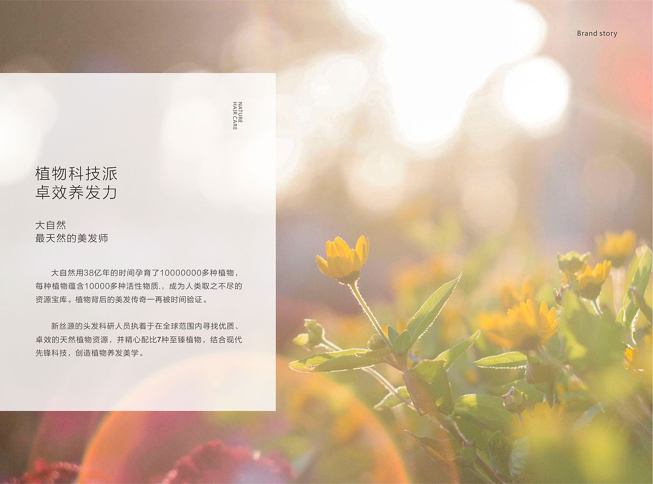 新丝源手册设计