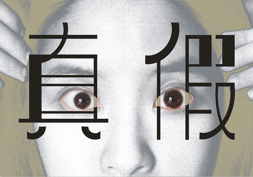 真与假实验艺术探究 之三 社会生活