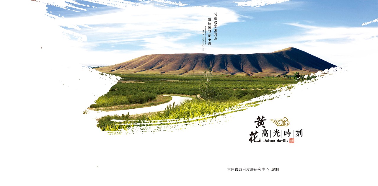 大同黄花册子封面