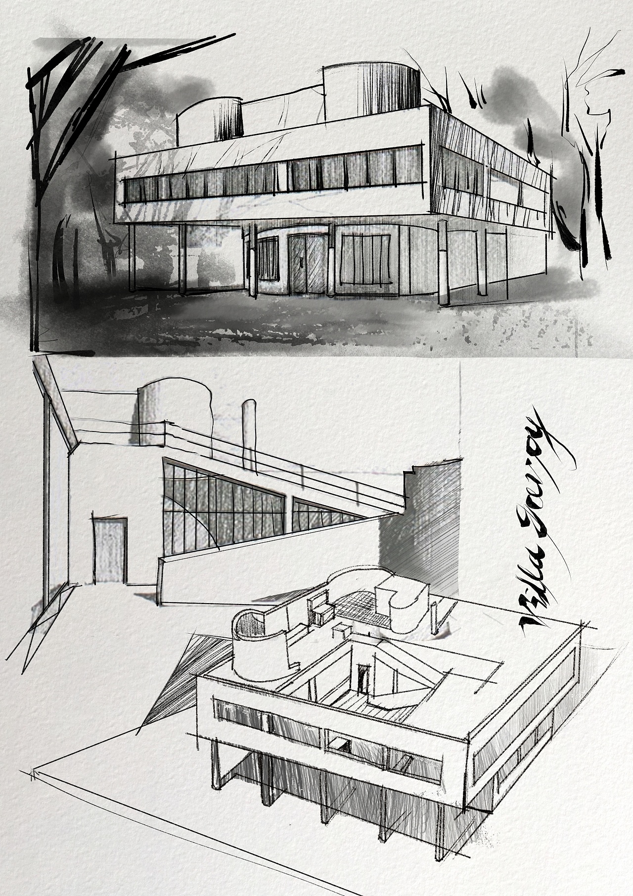 大师建筑速写 王澍-三合宅 维特拉家具博物馆 柯布西耶|插画|艺术插画