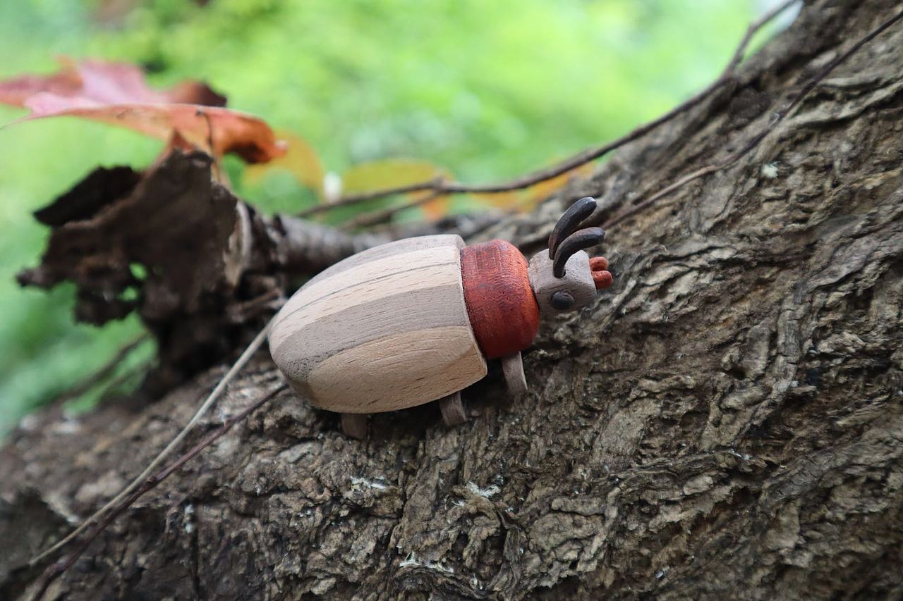 消失的昆虫们 Moil's handmade