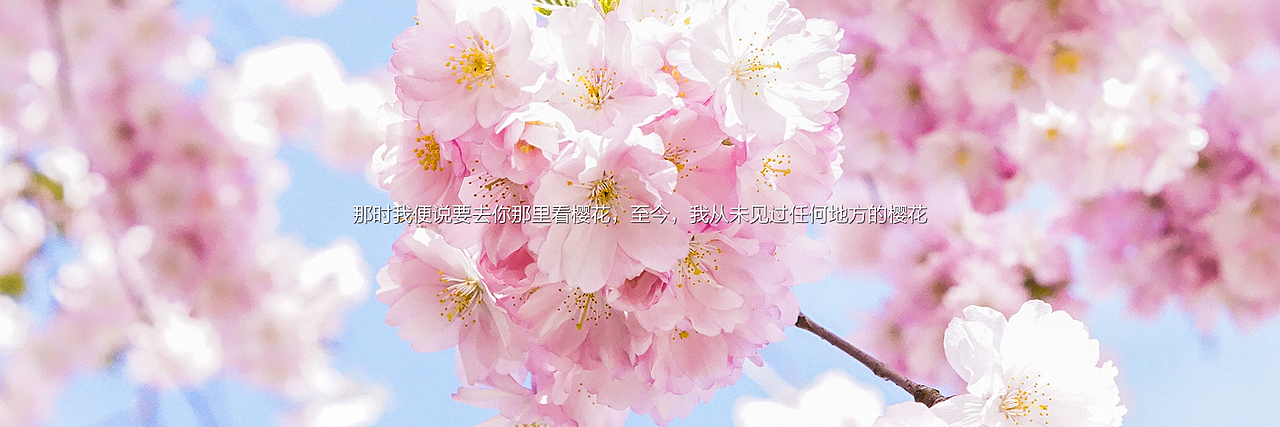 网页设计（图ZNzM2NTE4NDg=） - 企业官网 - 站酷设计师天晴工作室原创素材 - 站酷ZCOOL