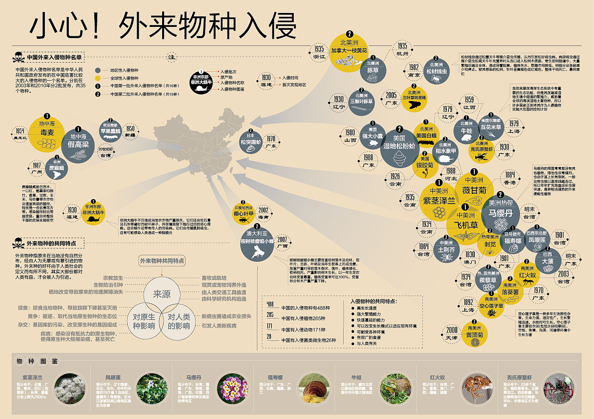 信息可视化（图ZMTM1MTI3Njg=） - 信息图表 - 站酷设计师menglu24原创素材 - 站酷ZCOOL