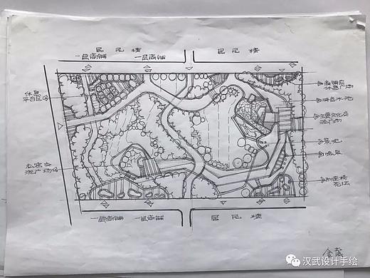 景观设计单体植物小品平面图线稿手绘