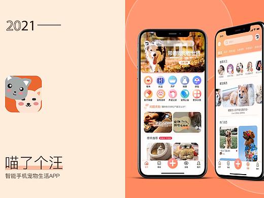 喵了个汪 宠物APP全案