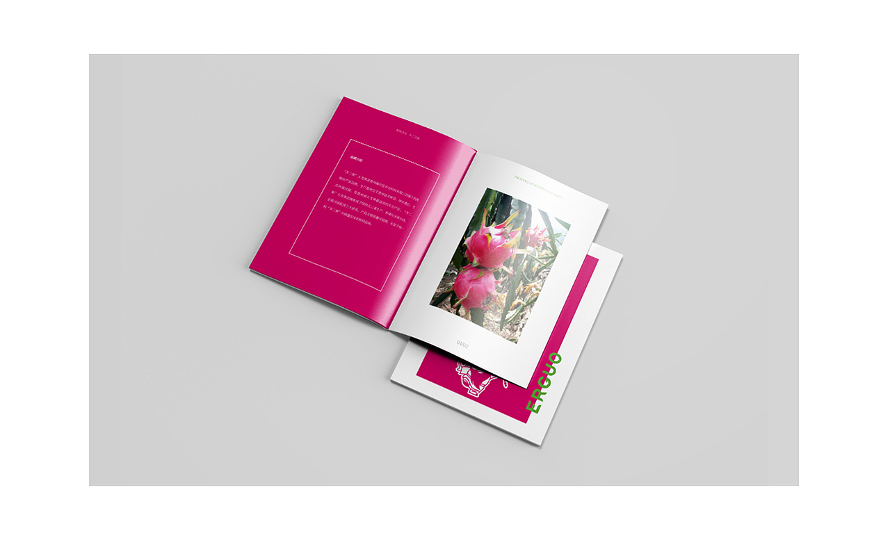 关二果 火龙果（图ZMTIzOTU4NzYw） - 品牌 - 站酷设计师bujue原创素材 - 站酷ZCOOL