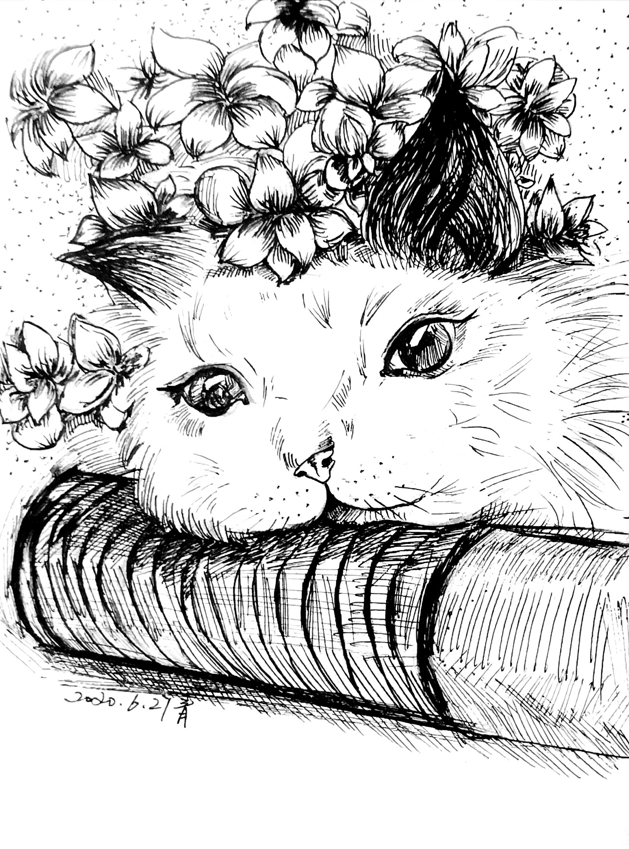 猫小姐|插画|艺术插画|猫小姐没有猫 - 原创作品 - 站酷 (zcool)