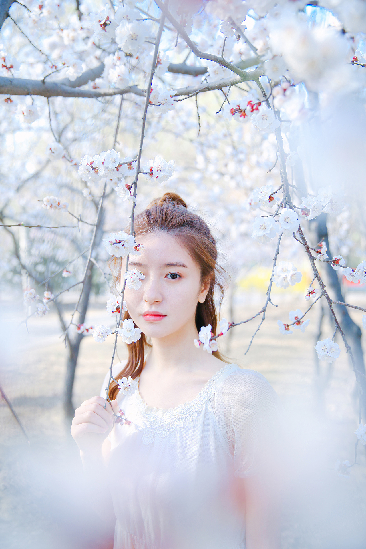 {海德娜娜}早樱。 春日艳阳天（图ZNDU0Nzc5NzY=） - 人像摄影 - 站酷设计师hidenana海德娜娜原创素材 - 站酷ZCOOL
