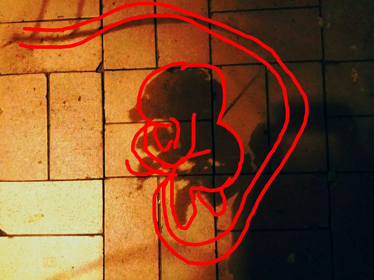 【脑世绘·集(1-10)】