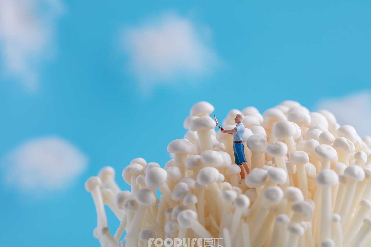 微观摄影火锅食材创意商业拍摄