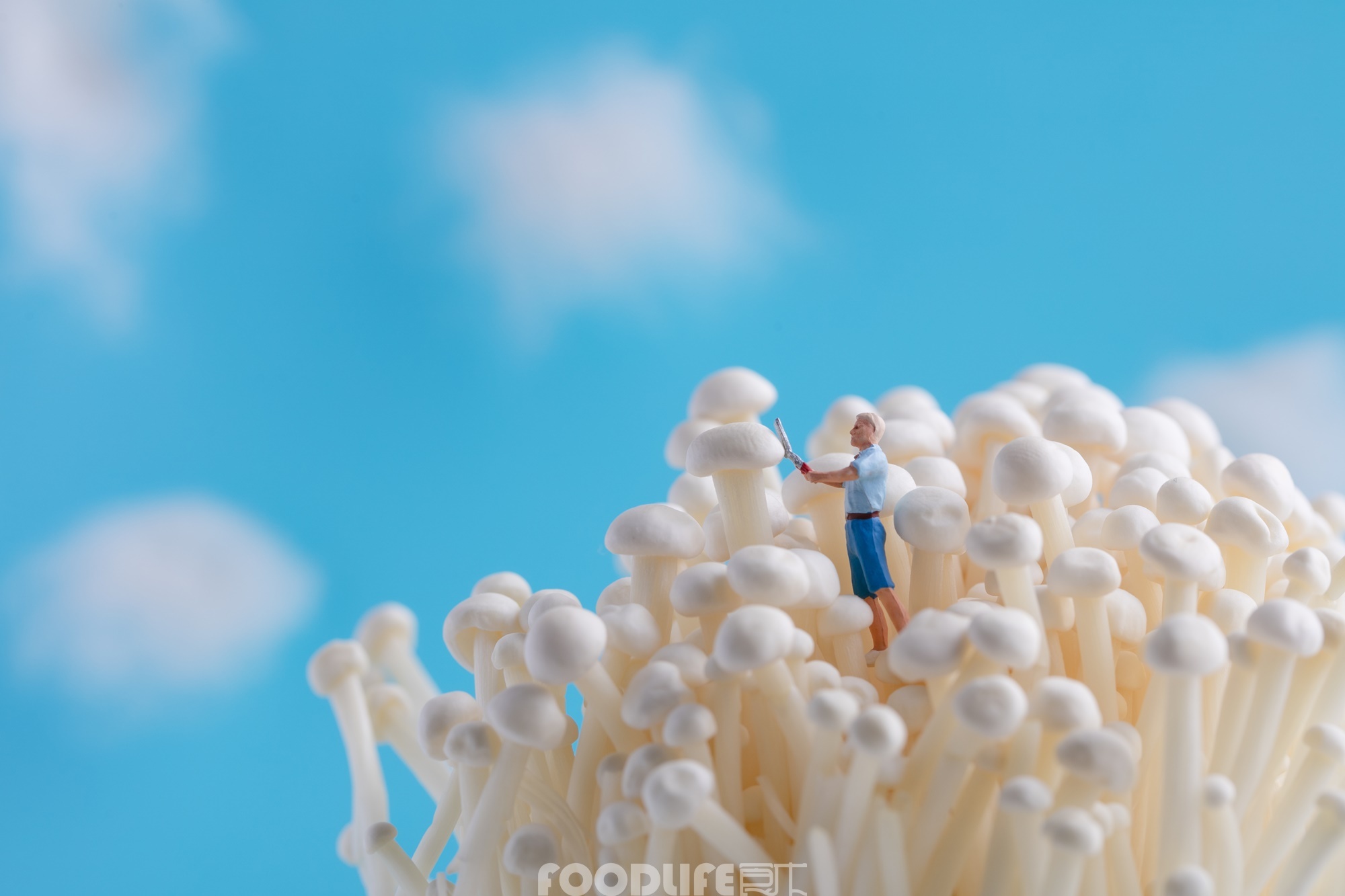 微观摄影-火锅食材-创意商业拍摄