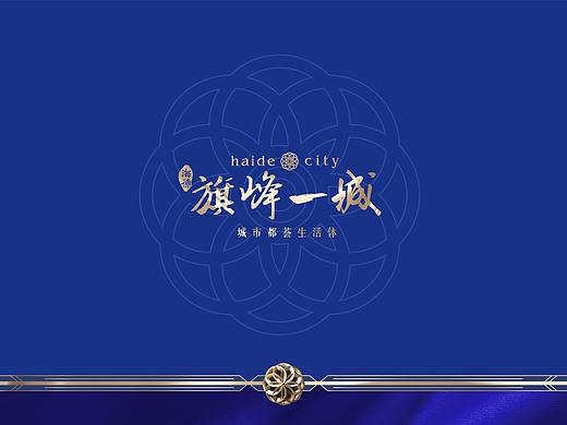 地产提案飞机稿