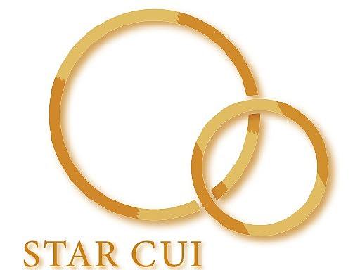 临摹+创作-star cui抽象logo的设计（配色上原创）