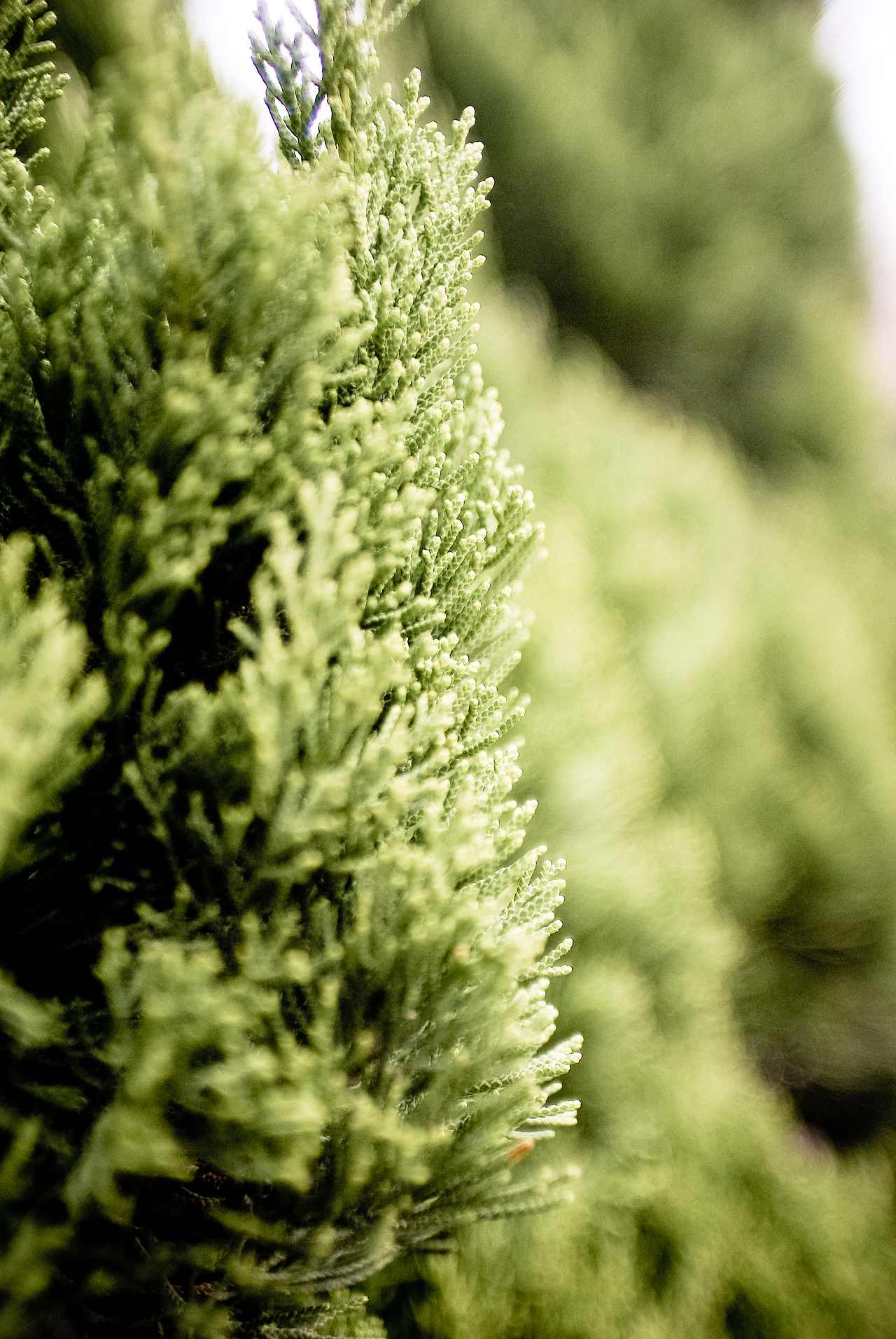 外事北-久违的校园,寻找那熟悉而又淡忘的曾经