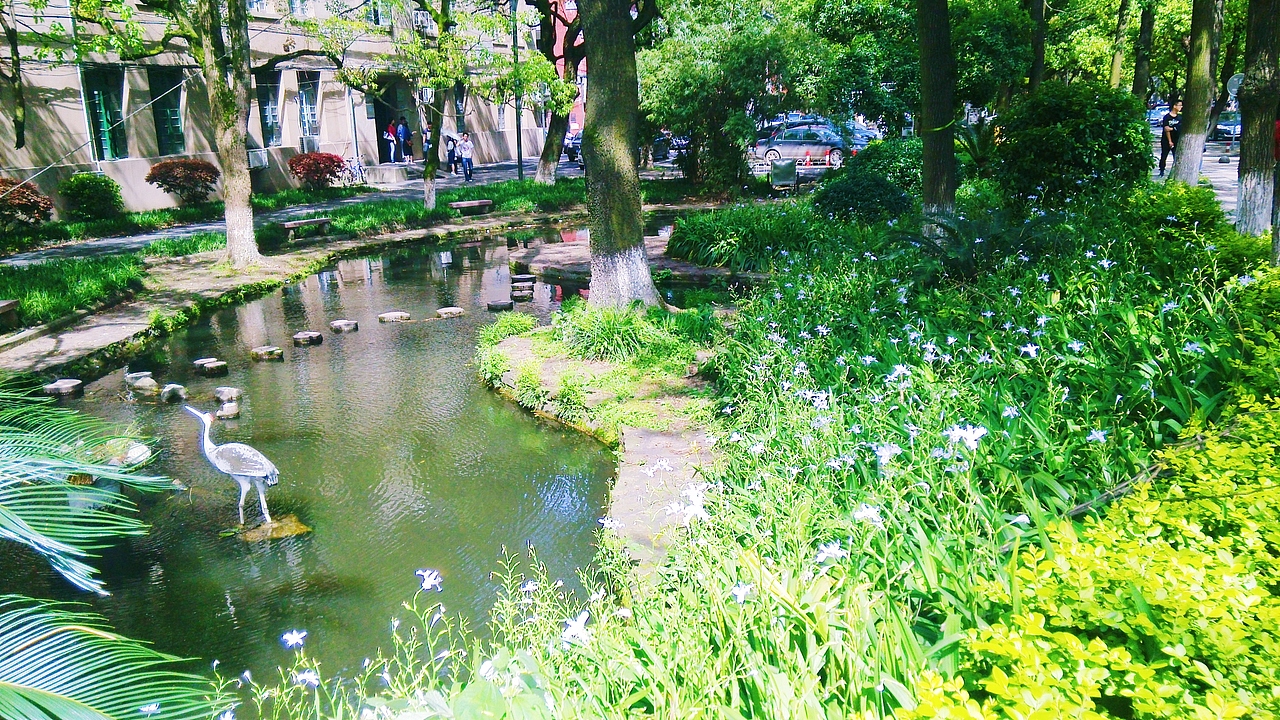 湖大教职工住宿区