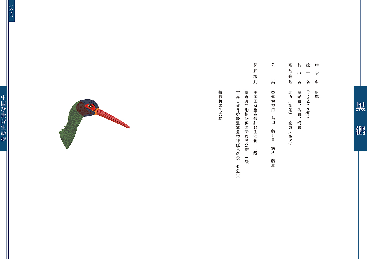 《假如我们会说话》70种中国珍贵野生动物书籍设计·一