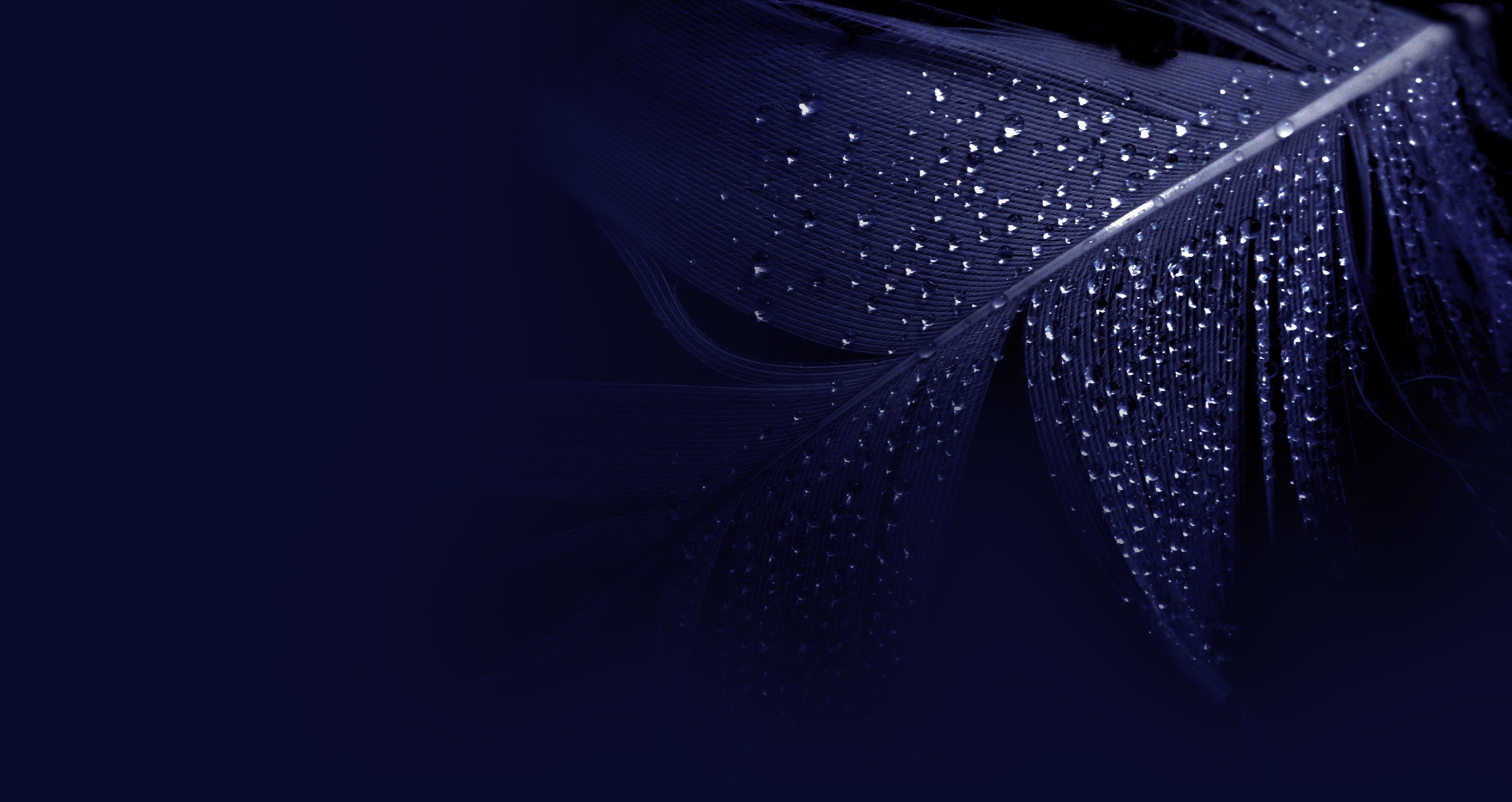 芒果辛芭克的个人主页（封面预览） - 主页封面设置 - 站酷设计师芒果辛芭克原创素材 - 站酷ZCOOL