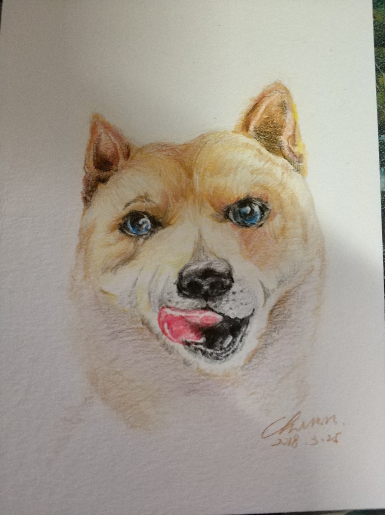 近期的手绘糕点……