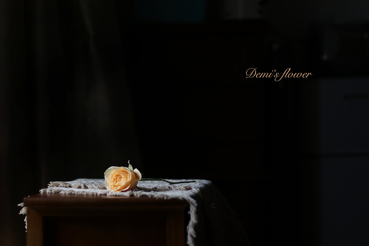 生活之美:一束玫瑰