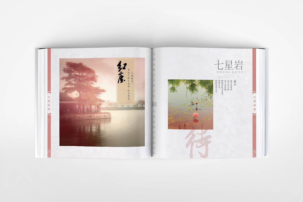 肇庆星湖湿地管理局画册设计