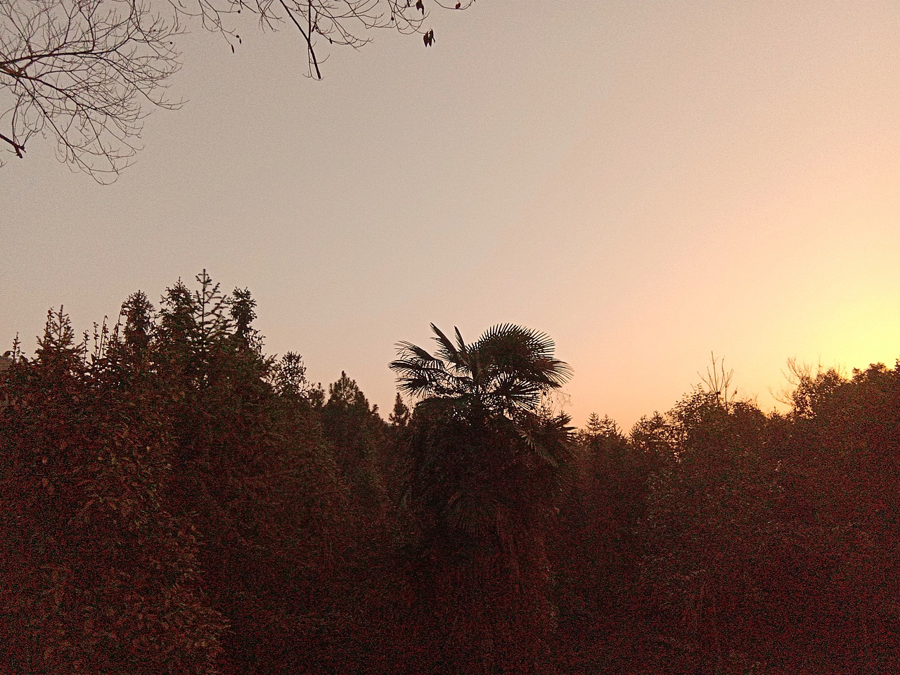 手机拍摄（无修改）（图ZMjU0MDMyMTc2） - 其他摄影 - 站酷设计师荒尾原创素材 - 站酷ZCOOL