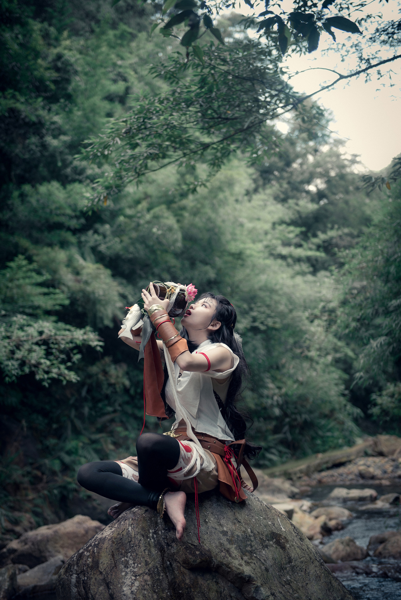 雪河丐姐——安得此山间