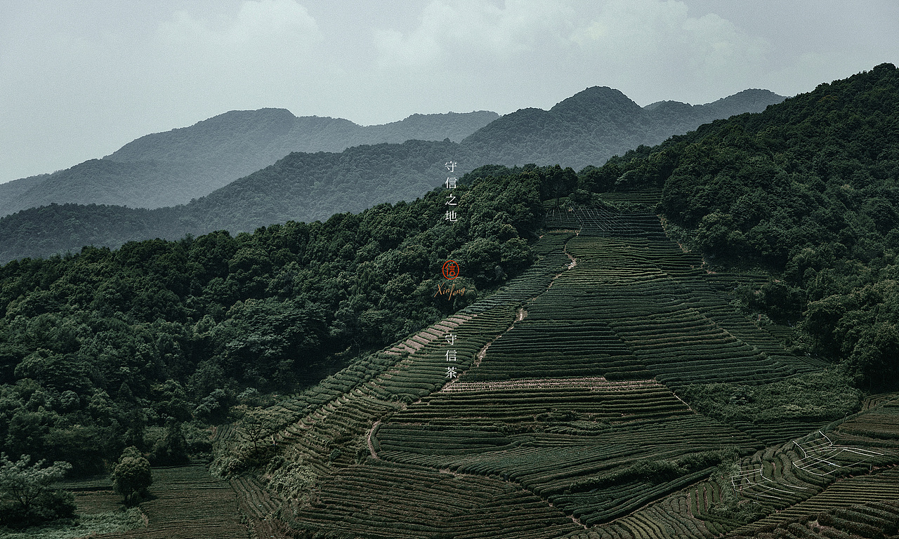 守信茶丨茶叶礼盒包装设计（图ZMjYxNjM0ODk2） - 包装 - 站酷设计师良上知所office原创素材 - 站酷ZCOOL