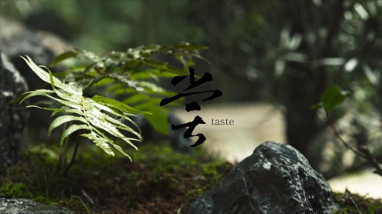 内部提案意识调性剪辑（内部演示不作商用）（图ZMjQ1NTc2MDIw） - 其他影视 - 站酷设计师本色出演7457原创素材 - 站酷ZCOOL