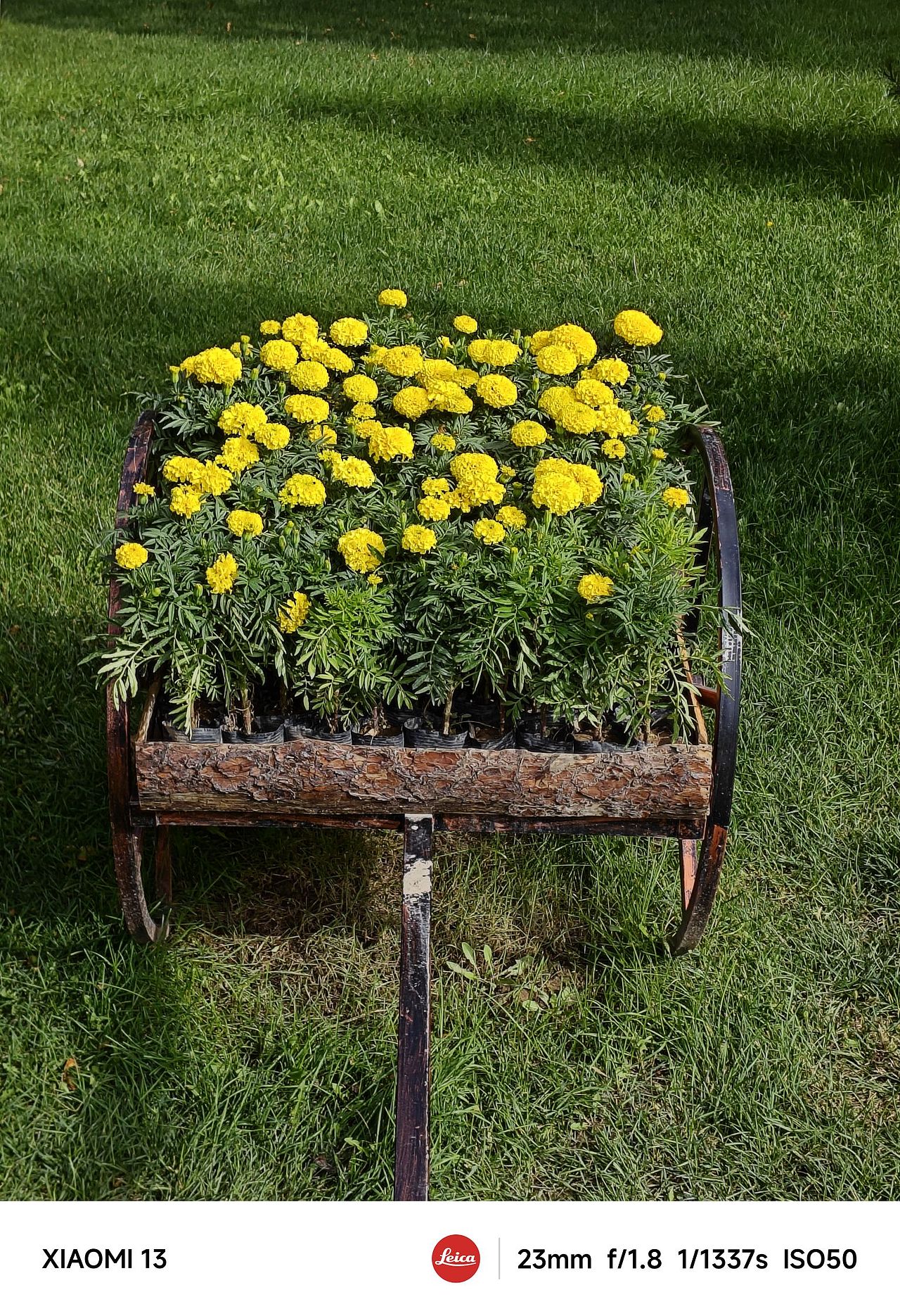 生活中的一些边角料