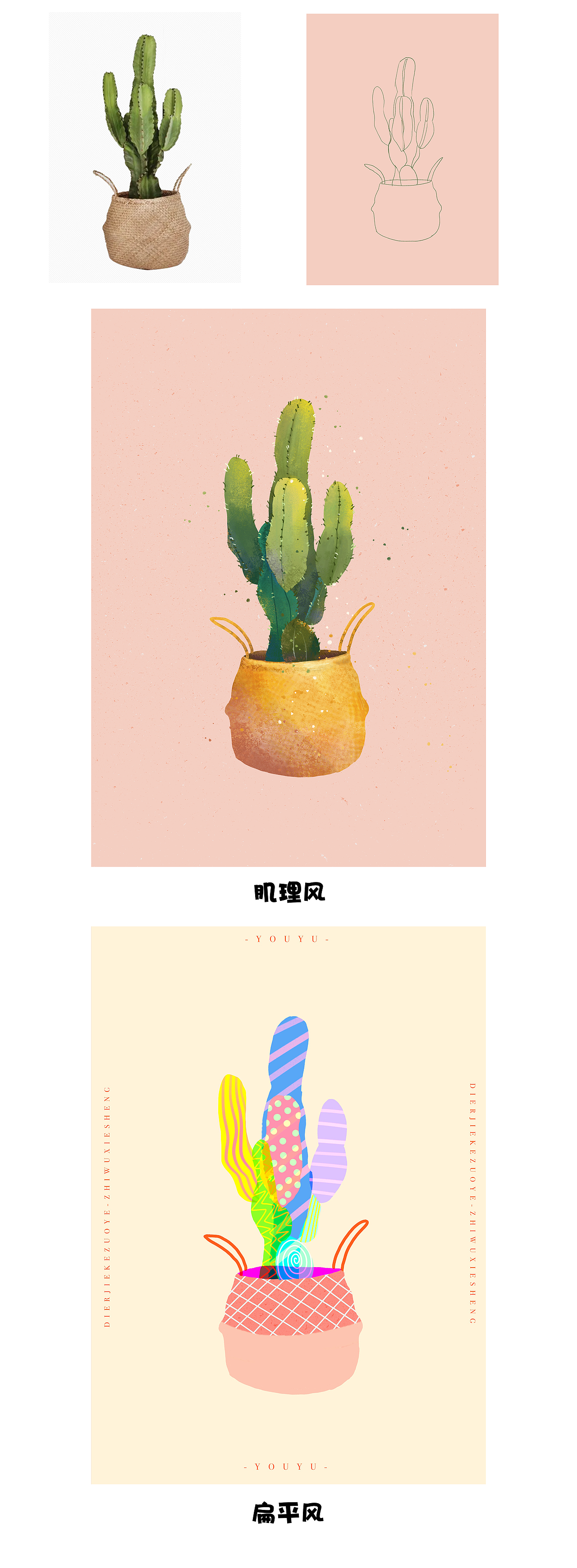 植物盆栽插画写生练习