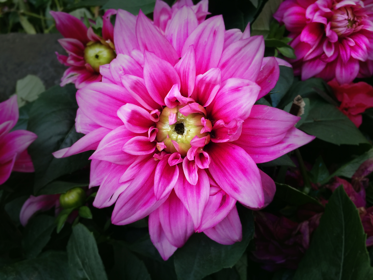 春暖花开季-山下一角