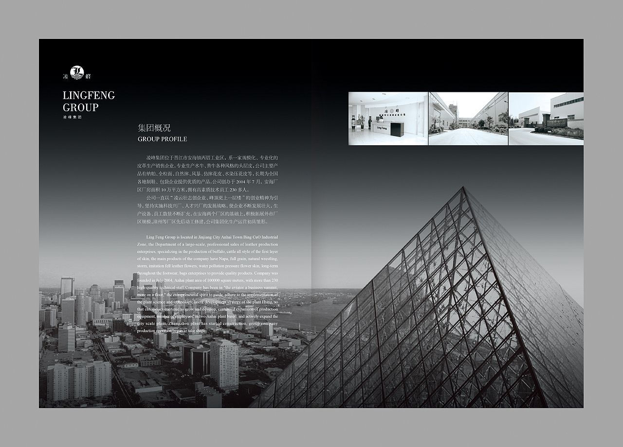 凌峰集团皮革画册