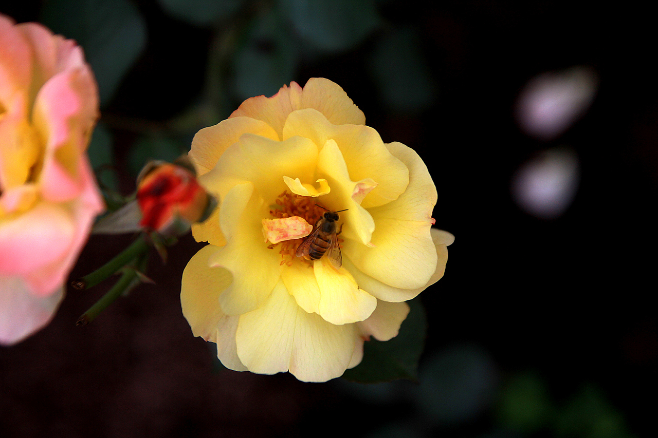 五一节拍的一些照片