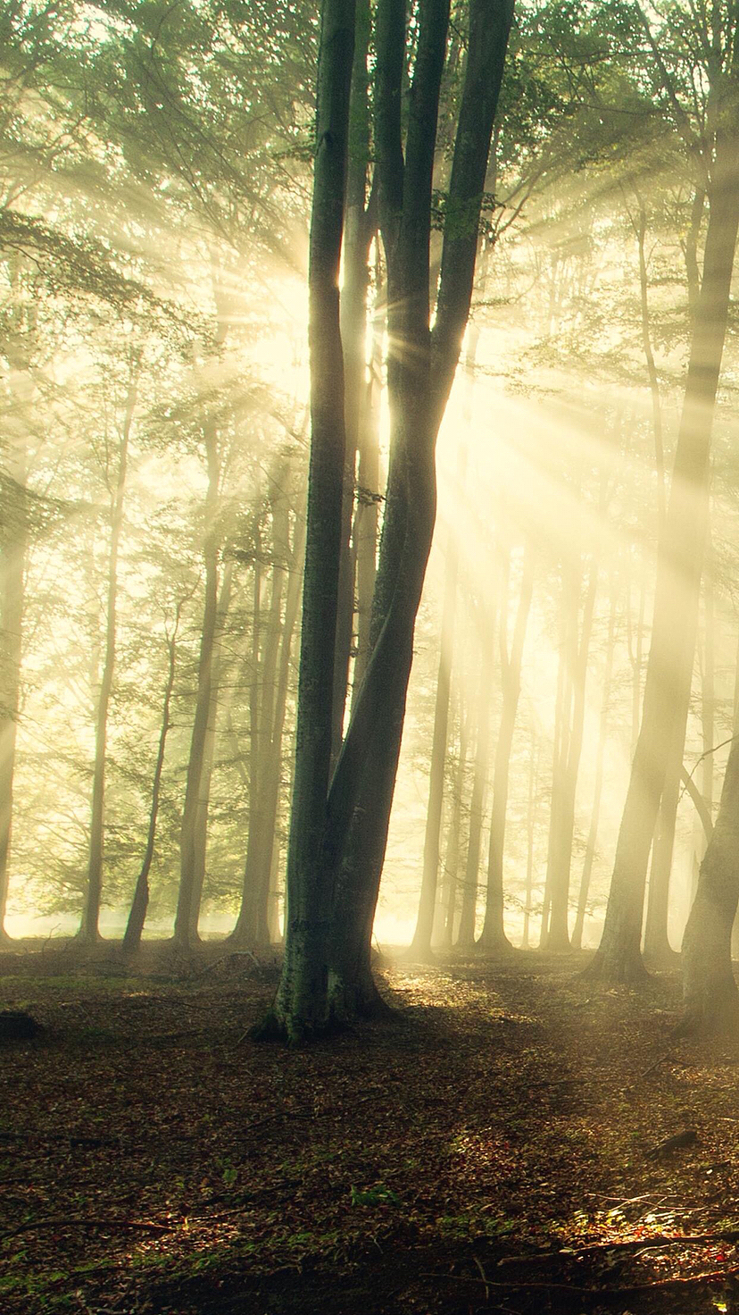 阳光（图ZMzE2Njk2ODQw） - 风光摄影 - 站酷设计师景致唯美原创素材 - 站酷ZCOOL