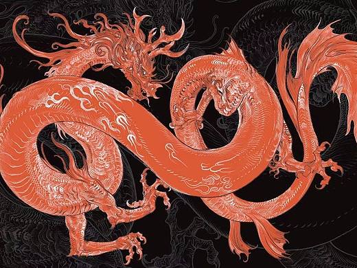 《万龙谷》系列部分龙设定