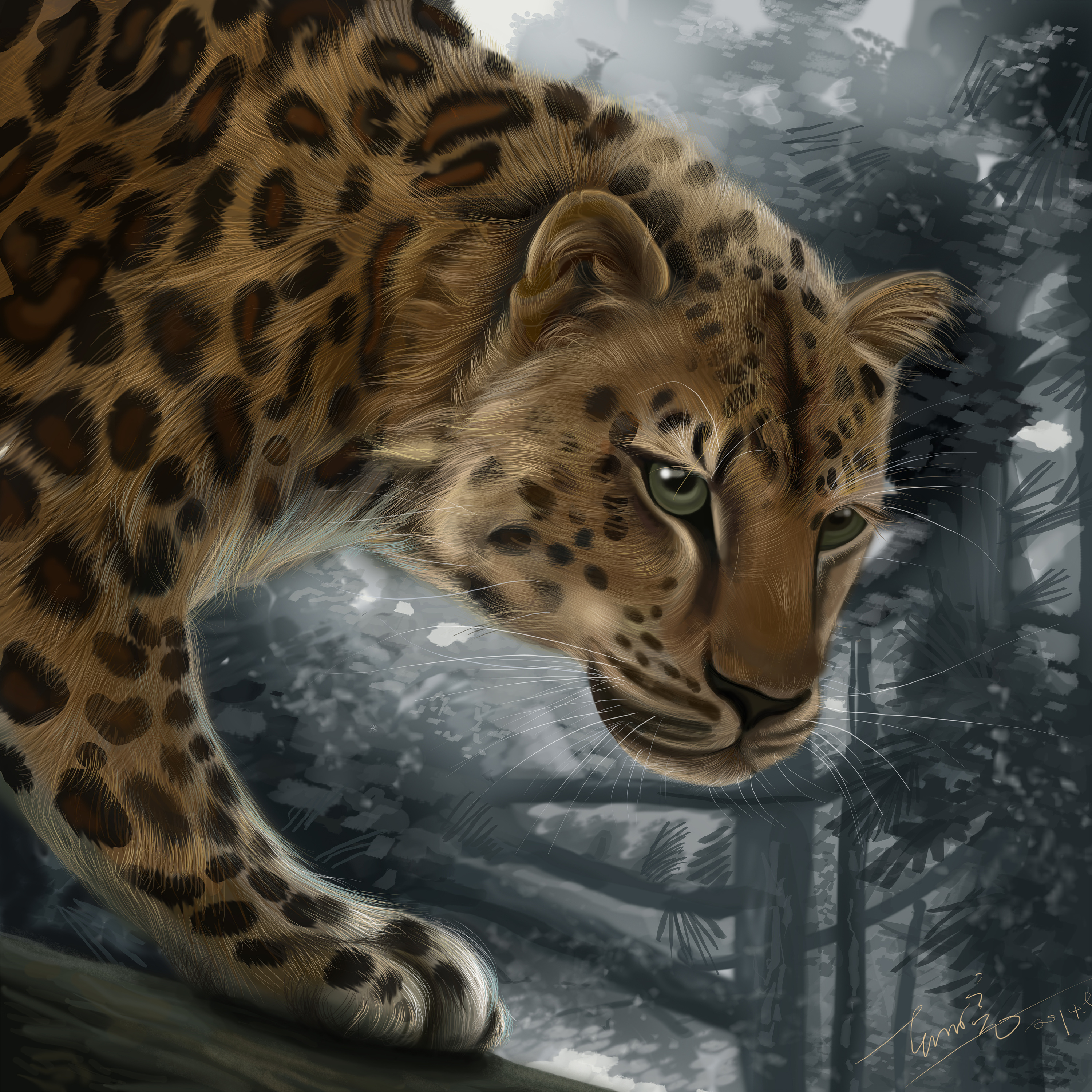 插画动物(写实)习作