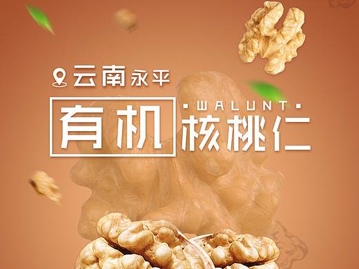 有机核桃仁详情页（个人主页-ZMzM0MTEyMDA=） - 电商 - 站酷设计师大澜_原创素材 - 站酷ZCOOL