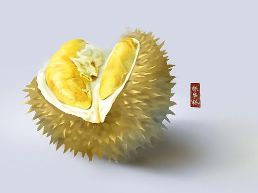 PS板绘|水果练习（二）·榴莲